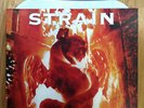 Strain 'Here & Now/ PURPLE/100? Mouthpiece go it alone champion  bane strung out
