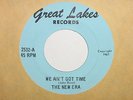 Michigan Garage The New Era  We Ain't Got Time 45 Great Lakes 2532 Fantastic