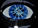 Def Leppard: Make Love Like a Man Numbered Limited Edition12” Picture Disc RARE