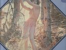 SEXY NUDE COVER LP Spain 1977 THE STUDIO GROUP Oxigene