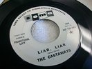 THE CASTAWAYS 