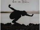 EDDIE VEDDER - INTO THE WILD VINYL LP GATEFOLD COVER + BOOKLET GREEN VINYL