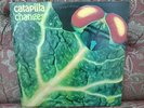  CATAPILLA CHANGES SWIRL/SPIRAL VERTIGO REISSUE? VINYL RECORD