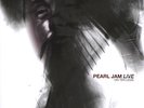 2 LP PEARL JAM LIVE ON TEN LEGS 180G VINYL double vinyle audiophile etat neuf