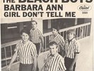 BEACH BOYS--PICTURE SLEEVE--(BARBARA ANN)--PS--PIC--SLV--PSL