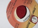 NORTHERN SOUL DISCO MODERN CROSSOVER BARBARA LYNN