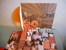 Broilers - La Vida Loca LP vinyl Oi Punk