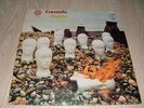 LP Cressida - Asylum