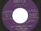 R&B - DOO-WOP - THE HARPTONES on BRUCE - 