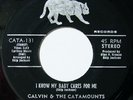 X-over Soul CALVIN&CATAMOUNTS i know my baby CATAMOUNT