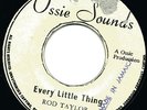 ROD TAYLOR - EVERY LITTLE THING - HARD STEPPERS, JAMDOWN ROCKERS