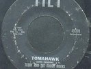 Teddy and the Rough Riders 45 