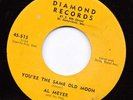 STARDAY CUSTOM COUNTRY--DIAMOND--AL MEYER & PALS--HEAR BOTH--1955