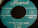 Cal Green 45 Federal The search is all over Blues Rocker