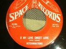 RARE SWEET SOUL ....DETERMINATIONS (SPACE)