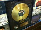 Crystal Waters Gypsy Woman She's Homeless Gold Record Award Framed RARE