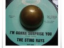 Sting Rays I'm Gonna Surprise You R&B SOUL MOD HEAR 45