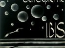IBIS - SUN SUPREME (VERY RARE ORIG. IT. PROG/PSYCH)