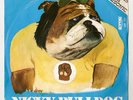 NICKY BULLDOG Chewingum Rock-Dog Power ITALY PSYCH-GLAM-FREAK MOD rare HEAR IT 