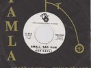 BOB KAYLI - SMALL SAD SAM - TAMLA ONE SIDED WHITE DEMO IN COMPANY SLEEVE