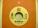 THE BEACH BOYS - RARE STOCK COPY - 'TIL I DIE / LONG PROMISED ROAD