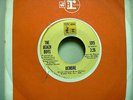 THE BEACH BOYS - RARE STOCK COPY - LONG PROMISED ROAD / DEIRDRE