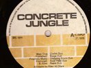 CONCRETE JUNGLE WINSTON RILEY  ORIGINAL DUB LP MINT KING TUBBY HARRY J