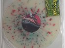 RARE THE RAMONES ACID EATERS PSYCH VINYL LP PUNK KBD