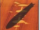 Led Zeppelin remasters triple album vinyl