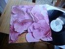 STILL LIFE SAME LP IN 1970 MINT MONSTER SWIRLI RARITY