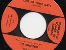ROOSTERS - ONE OF THESE DAYS 1966 US JINGLE JANGLE PEBBLES GARAGE 45