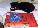 The Cure Wish rare Original Fiction Double LP fixh20 Sleeve VG+