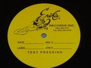 DEAD OR ALIVE TEST PRESSING 12