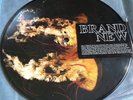 Brand New Jesus Vinyl picture disc deja entendu devil and god