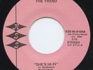 HEAR - Rare Power Pop 45 - The Trend - She's Hi-Fi - Mint Minus