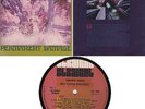 GTO'S - PERMANENT DAMAGE. 1969 STRAIGHT LP. ZAPPA produced.  Very Rare.