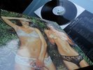 Roxy Music          - Country Life -    TOP CONDITION