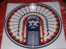 FIGHTING ILLINI University of Illinois Chief Illiniwek PICTURE DISC LP U of I NM