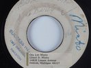 Reggae Rocksteady 45 VIN GORDON Can't Keep A Good Man Down BLANK HEAR