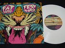 FAT MUSIC FOR FEST PEOPLE 10