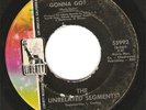 UNRELATED SEGMENTS USA 45 7
