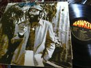DESI ROOTS - DOING IT RIGHT - HAWKEYE LP