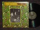 THE LEAVES   HEY JOE   ORIG 1960's GARAGE PSYCH MONO RECORD LP   NM Punk
