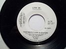The Thirteenth Floor Elevators Livin' On WLP DJ Copy 45 IA-130 NM