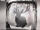 MIIKE SNOW - S/T (2xLP, Download) New Sealed RARE
