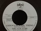 The Yum Yums Gonna Be A Big Thing/ Holly St James Thats Not Love Northern Soul