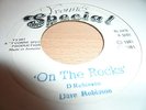 Dave Robinson On The Rocks Killer Roots 7
