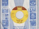 Virgil Henry 45 You Ain't Sayin Nothin New / I Can't Believe (Soul) EX