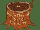 WIDESPREAD PANIC LIVE WOOD TOUR VINYL LP VERY RARE & LIMITED RECORD STORE DAY