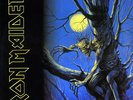 Iron Maiden - Fear of the Dark Vinyl - First Pressing EMI 1992 - Gatefold